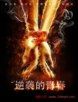 在线观看精品国产入口海报