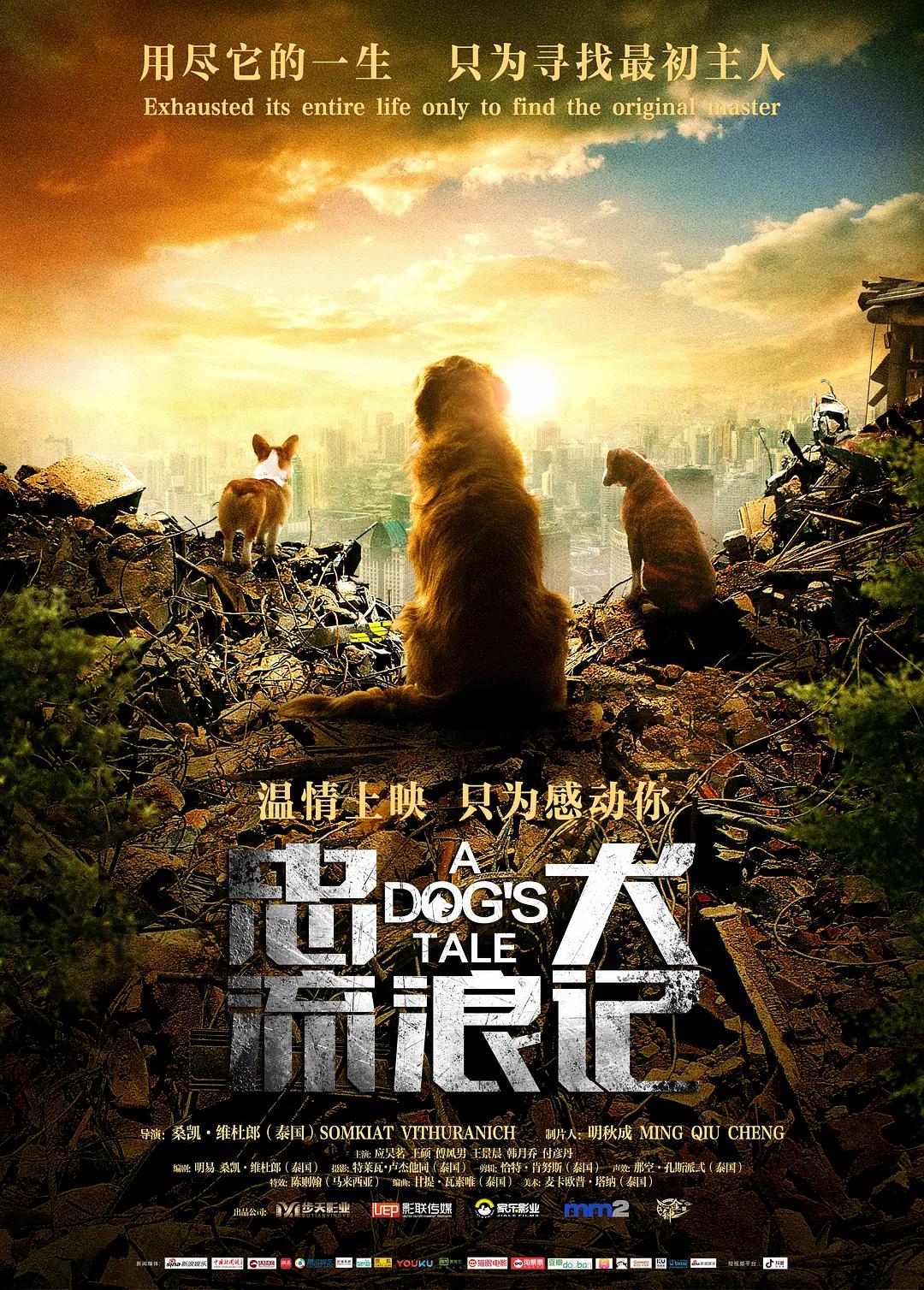 亚洲国产欧美日韩精品一区二区三区海报
