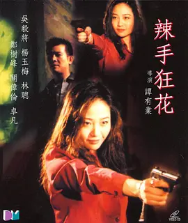 亚洲精品无码成人久久久海报
