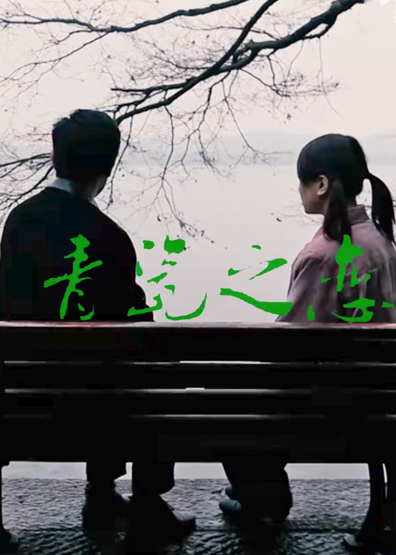 看一看视频海报