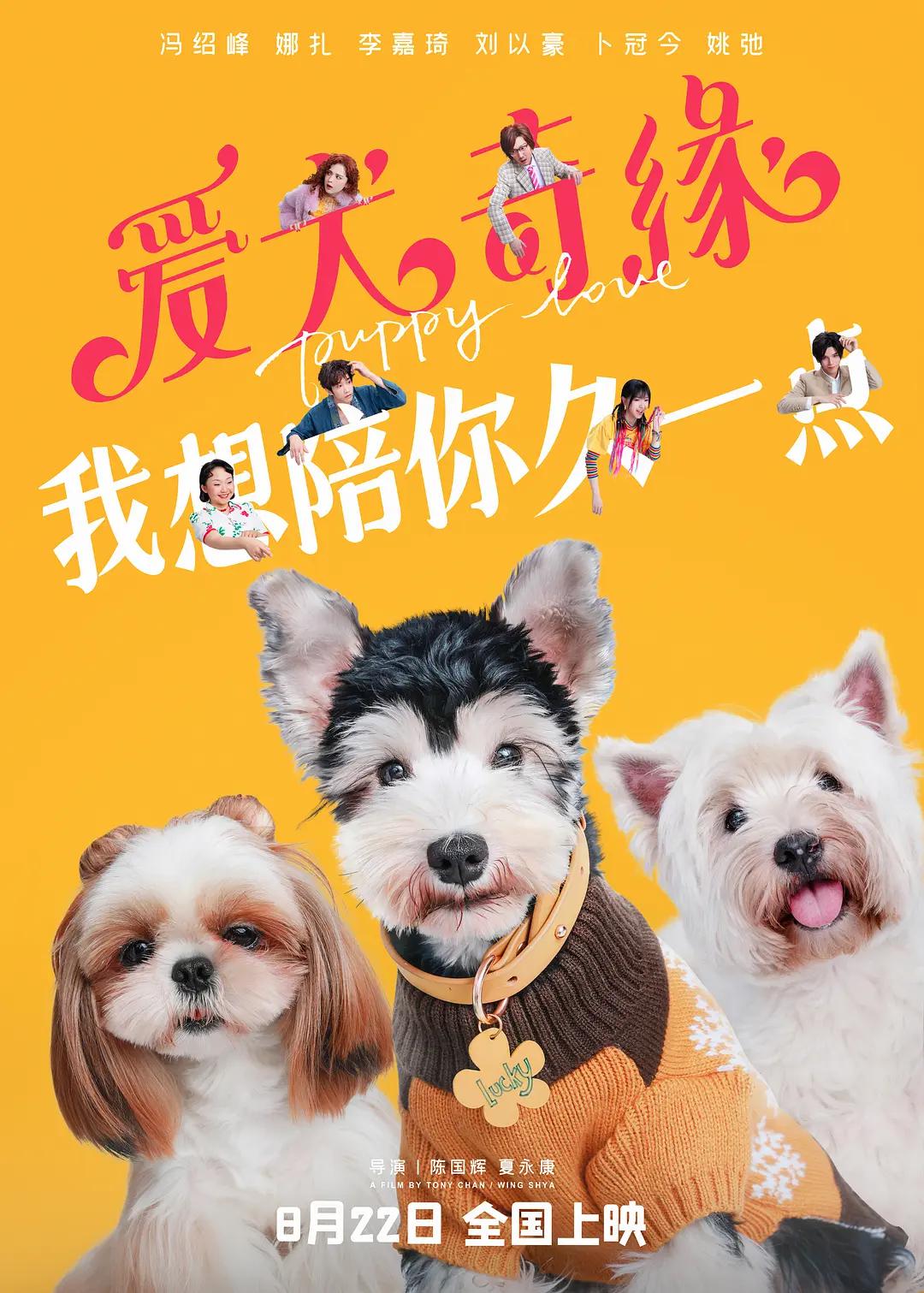 把旗袍撩到腰上h海报