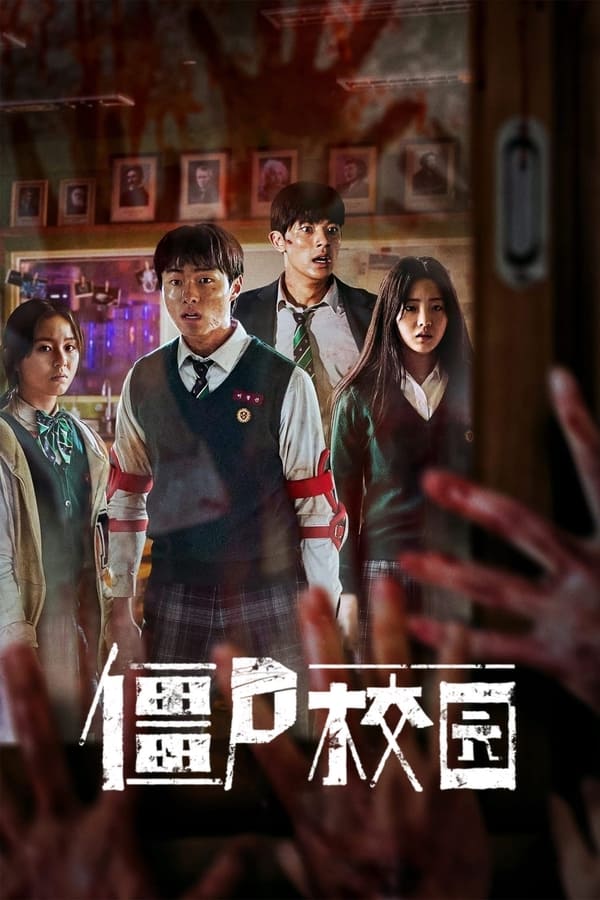 亚洲国产精品午夜伦不卡海报