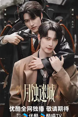 我们视频在线观看免费海报