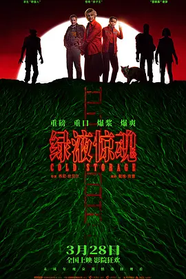 99久久免费国产精品海报