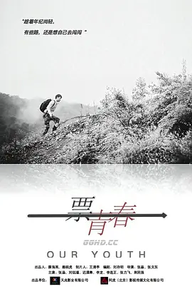 影视欧美综合国产海报