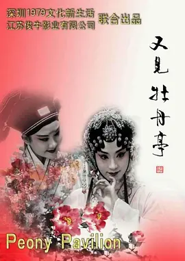 天天操天天干海报