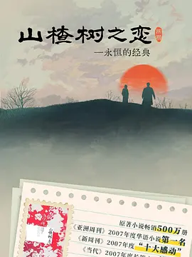 国产精品综合视频-QVOD神马影院手机在线海报