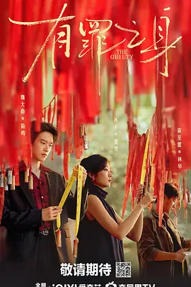 麻豆av无码精品一区二区海报