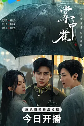 美丽的姑娘免费观看海报