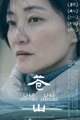 一本色道久久综合一区海报
