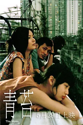 少妇搡bbbb搡海报