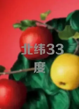 人妻精品久久久久中文字幕一冢本 - BD电影在线观看海报