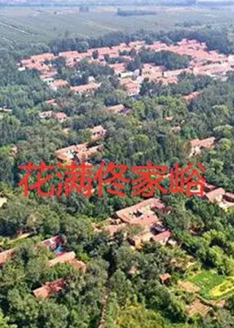 国内精品一级毛片免费看海报
