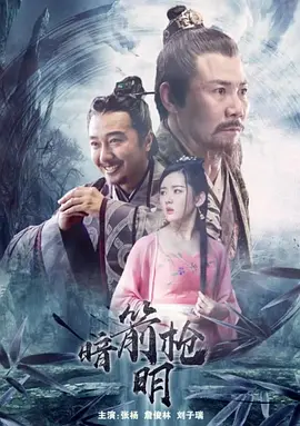 无码精品视频网站海报