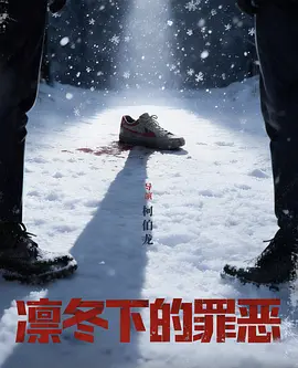 国内精品综合九九久久精品海报