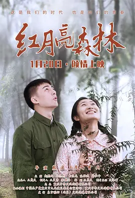 国产精品美乳在线观看可缓存海报