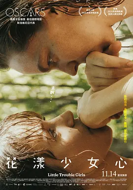 亚洲产精品va在线观看海报