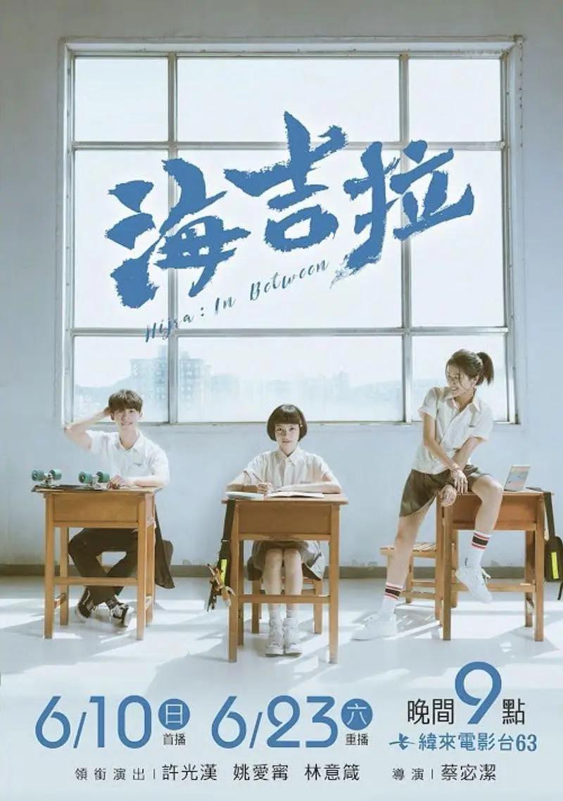 亚洲国产成人久久精品软件海报