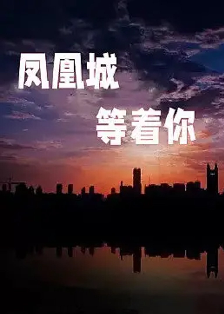 好吊妞国产欧美日韩免费观看海报
