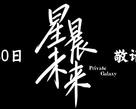 成人毛片网海报