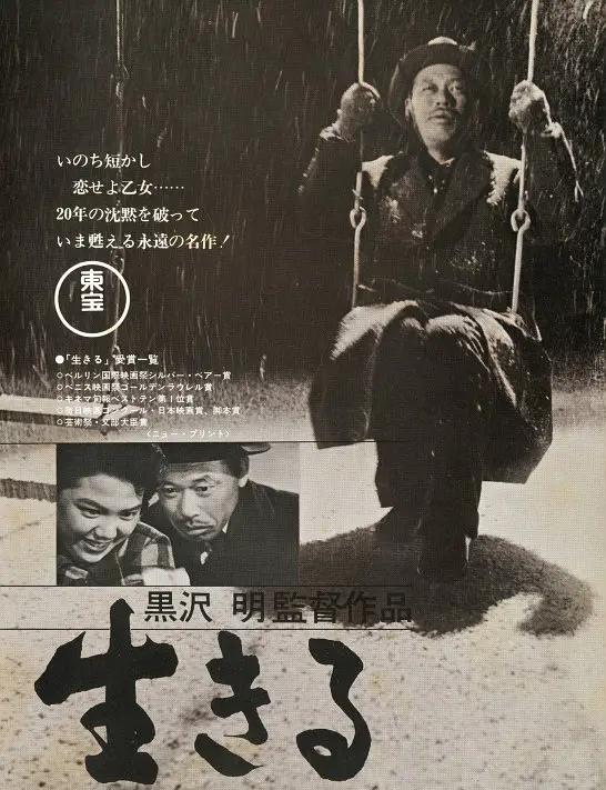 高清无码激情综合成年免费视频海报