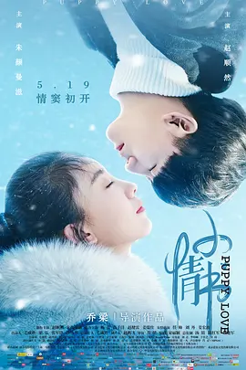 国产成人11p - 1080P免费全集观看海报