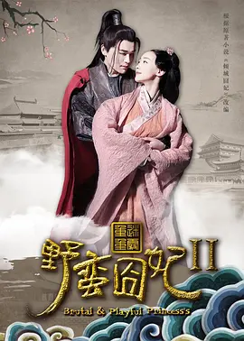 久久国产无码视频海报