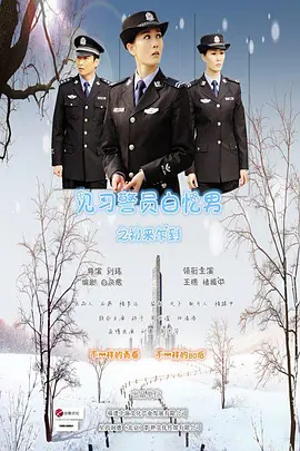 久久精品国产三级不卡海报