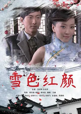 精品一区二区视频海报