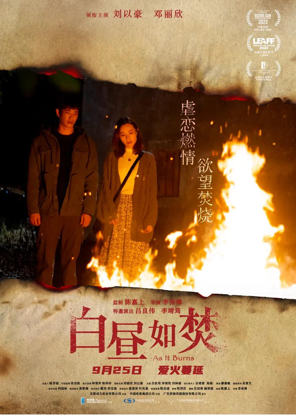 国产精品麻豆a啊在线观看海报