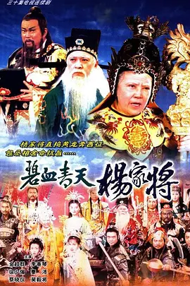 国内精品久久久久久久影视麻豆海报