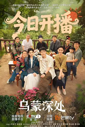 无码破解版正在播放海报