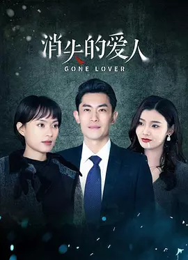 亚洲国产欧美日韩精品一区二区三区海报