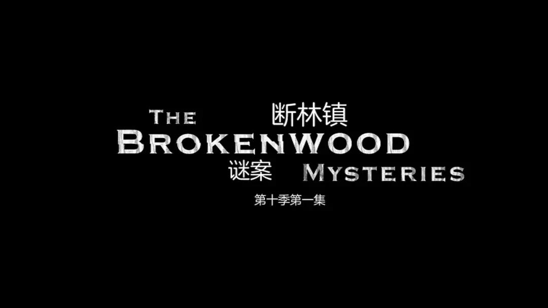 精品国产高清不卡毛片海报