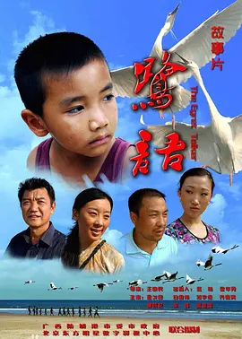 国内自拍无码不卡在线观看海报