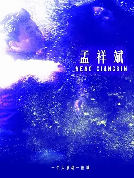 99久久精彩视频海报