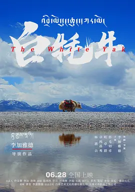 亚洲欧美视频一区二区海报