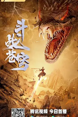 国产精品亚洲精品日韩已方海报