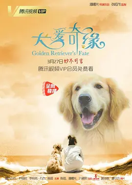 亚洲中文字幕专区一区二区海报