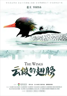 久久久无码精品亚洲A片软件海报