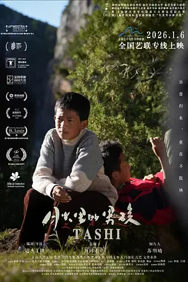 亚洲综合欧美日本另类激情海报
