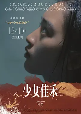爆操女秘书-高清完整版BT种子下载海报